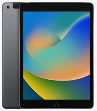 Apple iPad 9 256GB Cellular - Space Gray - Grade B